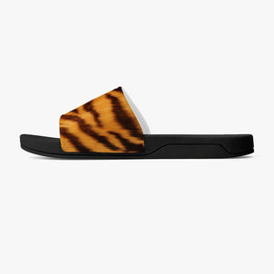 Tiger Slides