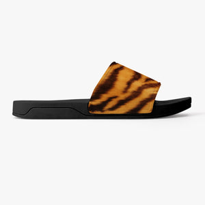 Tiger Slides