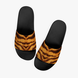 Tiger Slides