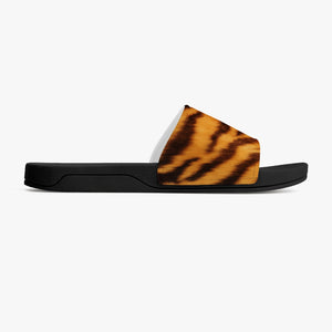 Tiger Slides