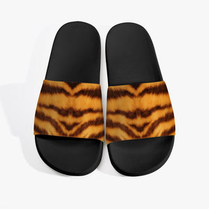 Tiger Slides